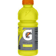 Gatorade Thirst Quencher 20 fl oz